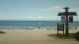 魚がウヨウヨ！