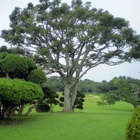 広く美しく癒される敷地