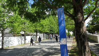 木々の緑がきれい