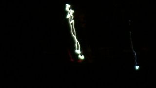 夏になれば過去最高１万匹を超えるホタルが見れる