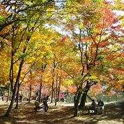 穴場！紅葉が素晴らしい！