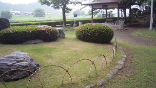 福島城の庭園のなごりです。