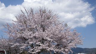 河口湖近辺の休憩ポイント