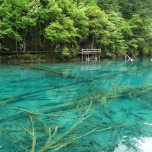 水の色が美しい