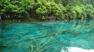 エメラルドグリーンの池に感動