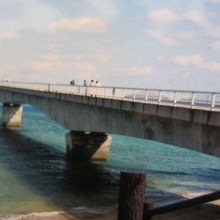 海と橋がダイナミック