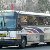 ニューヨークへはこのバスで