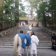 周りはカメラマンがいっぱいです。