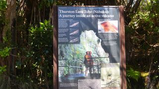 あまり期待過多でも…