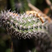 日本で言う、動植物園