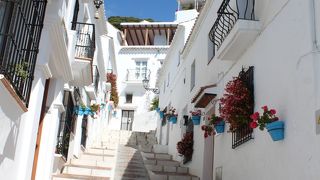 ナンバーワンの花の家、「見ーつけた」