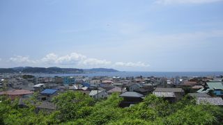 紫陽花が綺麗です。