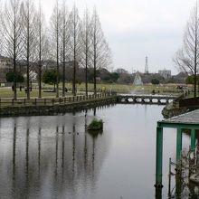 打上川治水緑地(うちあげがわちすいりょくち)