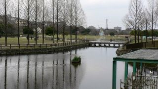 洪水のときに寝屋川と打上川の両河川の流量を調整する打上川治水緑地(うちあげがわちすいりょくち)