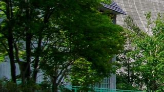 子供連れで行かれるのがオススメ