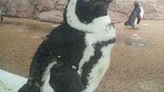 駐車場から入口まで遠い