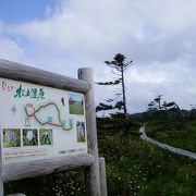 静かな湿原