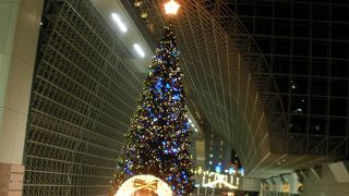 大きなツリーがあります