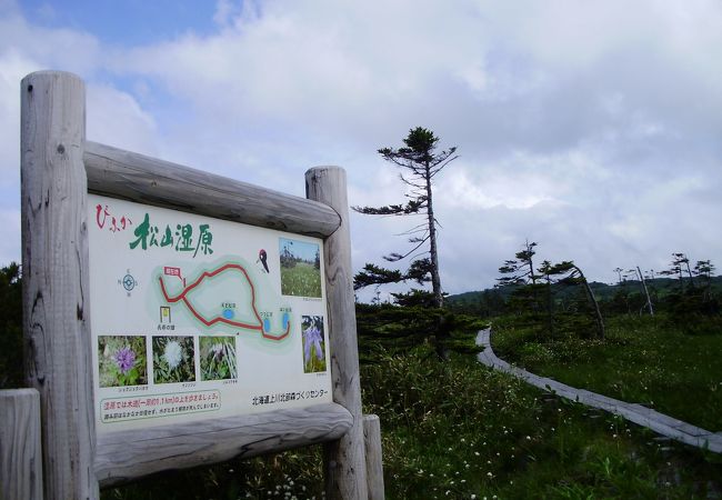 静かな湿原