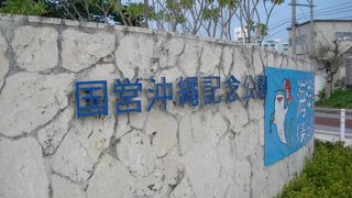 大きな公園です