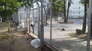 実は日本初の空中公園・・「宮下公園」～渋谷・原宿～