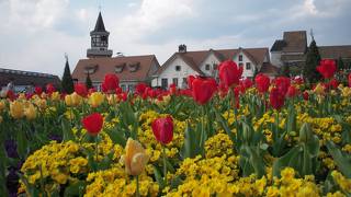 山梨県立フラワーセンターハイジの村