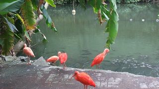 動物好きならぜひ