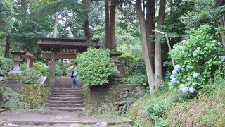 参道の雰囲気が素晴らしい