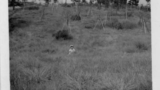 1958年当時の写真です。