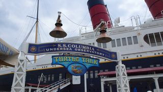 カメと会話する面白いアトラクション