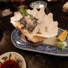 シャコ貝の刺身