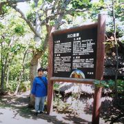 竪穴住居群が分布しています