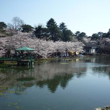 大宮公園