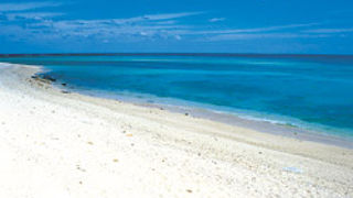 シュノーケルしました