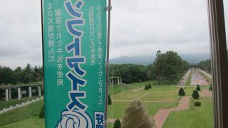 札幌市内での藤の名所のひとつ