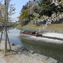 桜の花びらが散る水面を行く屋形船