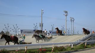 帯広競馬場 
