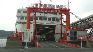 ウミネコも一緒に東京湾横断