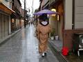 新道　さくら庵 写真