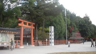 思い出の神社（京都で一番好きな神社です）