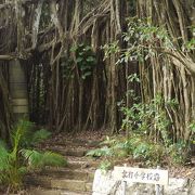 既に自然に戻った遺跡