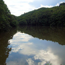 高尾山自然公園の池