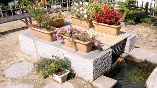 残念ながら鉄分が多くて飲料に適しないそうです