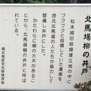 かたわらに柳の大木があることから、北馬柳の井戸