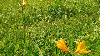 北オホーツク道立自然公園の中心