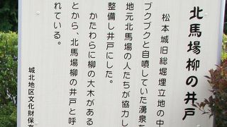 かたわらに柳の大木があることから、北馬柳の井戸