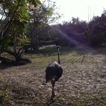 近寄ってきた〜