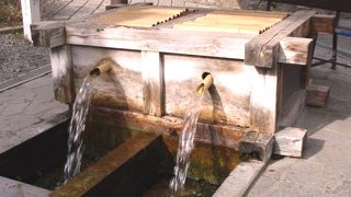 このへんが松本城総堀付近です