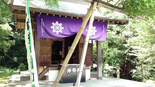 見どころ満載です