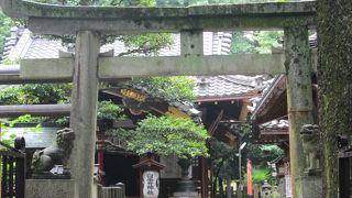 礼拝は巳の日毎